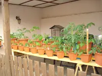 DSC01810.webp