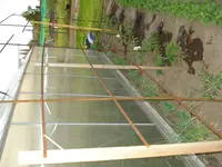 DSC01817.webp