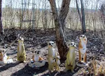 Maerz 2011 (30).webp