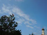 015.webp