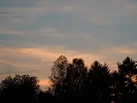 102.webp