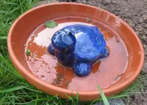 Vogeltränke (2).webp