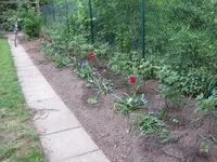 Garten (5).webp