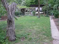 Garten (6).webp