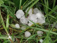DSCF0392.webp