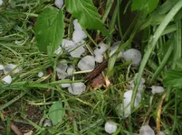 DSCF0393.webp