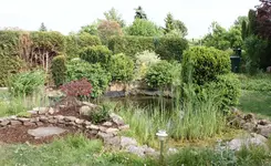 hecke2.webp