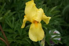 DSC05098.webp