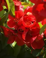 P5088490.webp