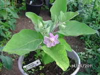 BILD5630.webp