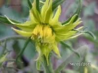 BILD5633.webp