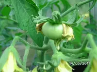 BILD5637.webp