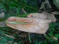 DSC00577.webp