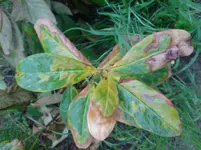 DSC00580.webp