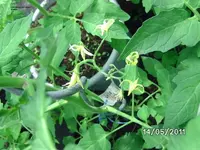 BILD5646.webp