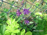 BILD5653.webp