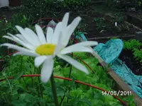 BILD5656.webp