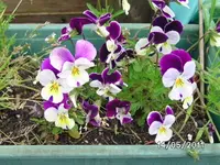 BILD5657.webp