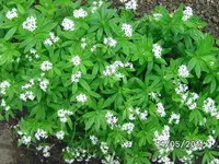 BILD5659.webp
