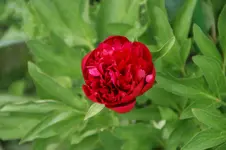 DSC05102.webp