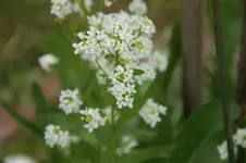 DSC05103.webp