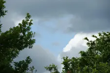 DSC05100.webp