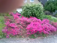 15052011260.webp