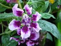P1030623_Small.webp
