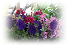 15.05 (2).webp