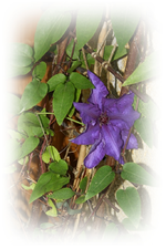 15.05 (3).webp