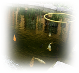 15.05 (17).webp