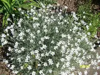 ALIM3080.webp