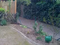 dsFoto.webp