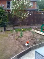 Foto9.webp
