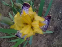 Foto10.webp