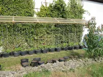 IMG_0358.webp