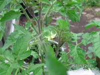 BILD5680.webp
