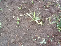 DSCF0035.webp