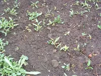 DSCF0036.webp