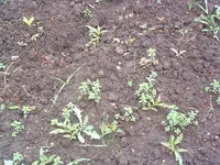 DSCF0037.webp