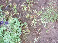 DSCF0041.webp