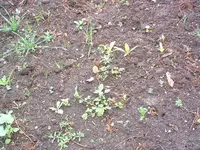 DSCF0039.webp