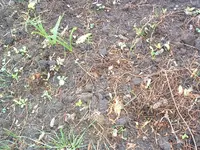 DSCF0040.webp