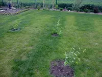 DSCF8846.webp