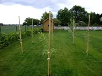 DSCF8849.webp