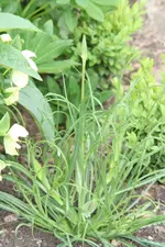 IMG_2805.webp