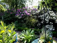 SDC13583.webp