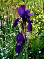 SDC13600.webp