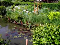 SDC13601.webp