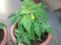 CIMG3793.webp